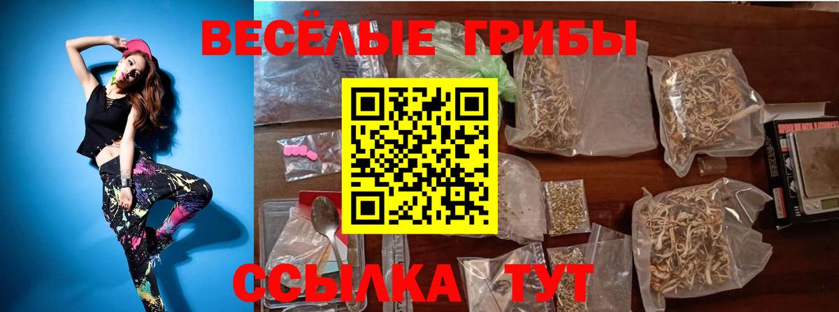 как найти наркотики  Псилоцибиновые грибы Magic Shrooms  Вход с VPN  Сыктывкар 